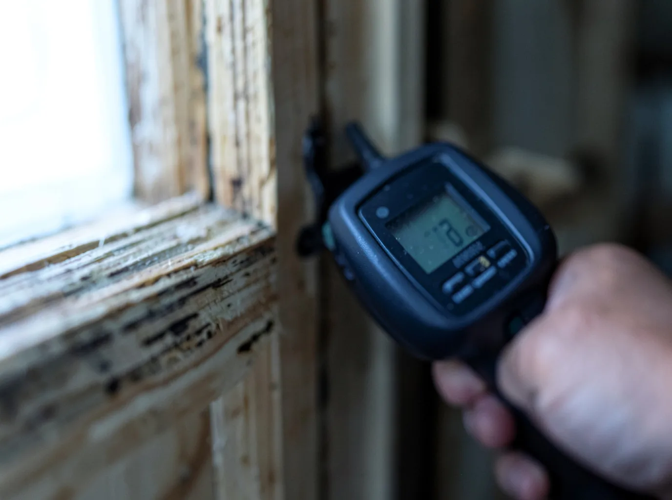 Commercial Water Damage Restoration in Igo, CA